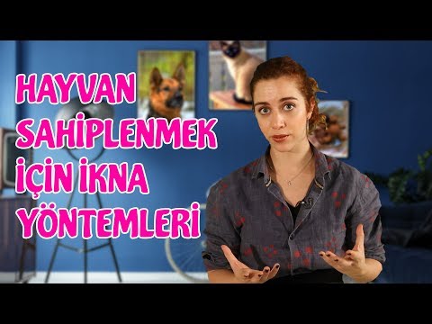 Video: Evcil Hayvandan Ücretsiz Anneler Günü Kartı