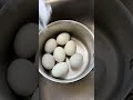 How to cook balut