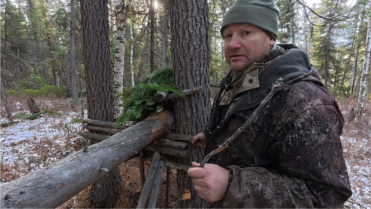 Медведь бродит по путикам. Настораживаю соболиные ловушки.
