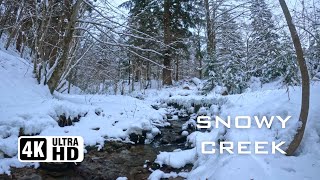Snowy Creek in the Mountain Forest | Relaxing Winter Ambience | ASMR | Sleep Relief | Ultra HD Video