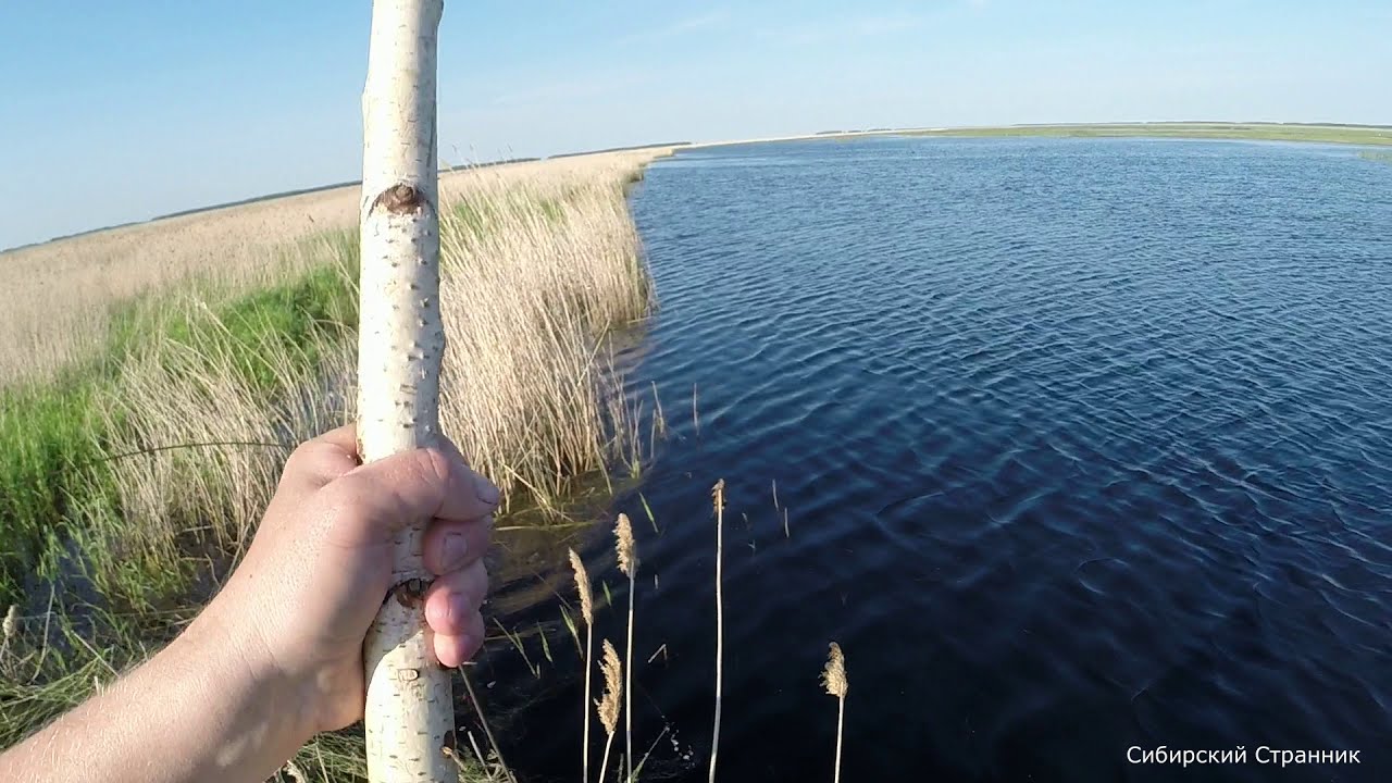 Рыбалка на паук, подъёмник. Болотоход по камышу.Часть 2