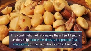 Why You Should Include Nuts In Your Diet To Improve Your Overall Health by Noregretspt 274 views 8 months ago 3 minutes, 3 seconds