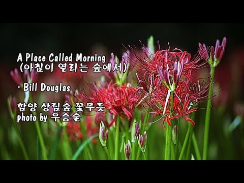 A Place Called Morning 아침이 열리는 숲에서 Bill <strong>Douglas</strong> &amp;amp; photo by 우승술