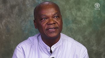 Satellite monitoring improves sustainable forest management in Ghana