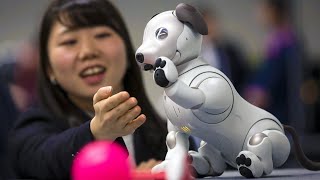 Top 5 Best Robot Dogs on Amazon!