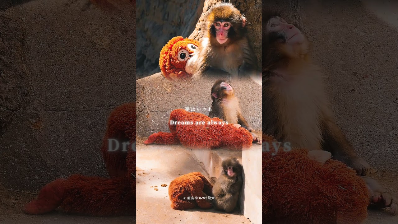 お兄さんたちが繋いだ尊いパンチThe precious punch passed on by the brothers.