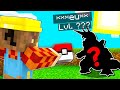 CATTURO IL PRIMO POKEMON DI LIVELLO ALTISSIMO SULLA PIXELMON!!