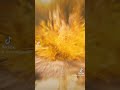 Grand Canyon Explained