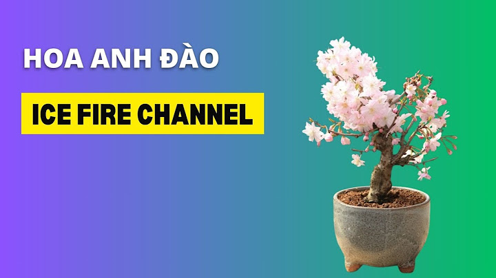 Quốc hoa của nước anh là gì