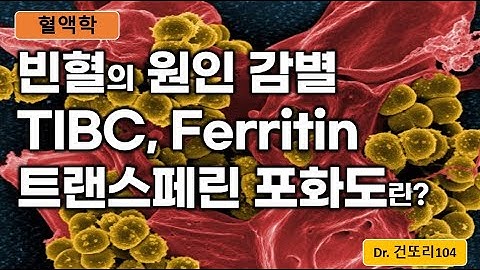 TIBC, ferritin, transferrin saturation(트랜스페린 포화도), 혈청철(serum iron): 빈혈원인감별