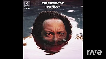 Changes Badu Didnt Cha Know - Theraregrooveman & Thundercat | RaveDj