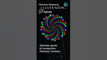 Fibonacci Numbers in Sunflowers