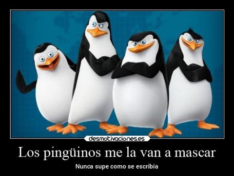 Los Pingüinos Me La Van A Mascar Version Navideña M 