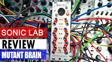 Hex Inverter Mutant Brain MIDI Converter Eurorack Module - SonicLAB Review