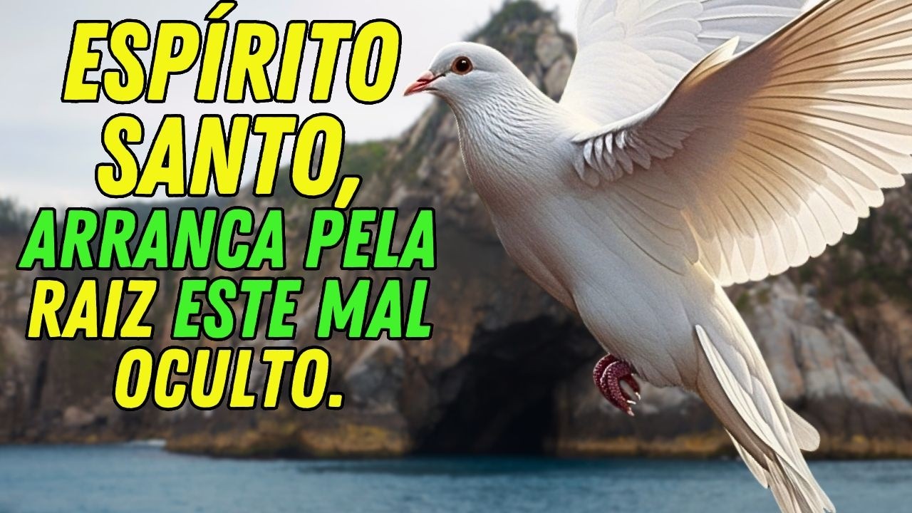 ESPÍRITO SANTO, SE HÁ ALGO OCULTO IMPEDINDO MINHA VITÓRIA, ARRANCA PELA RAIZ – PODEROSA ORAÇÃO