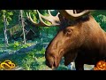 Marshland Moose Habitat 🦌 | Planet Zoo Speed Build - North American Pack