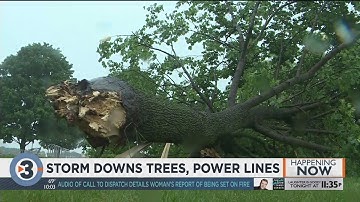 Storm’s winds bring down trees, service lines leading to roadway blockages, power outages