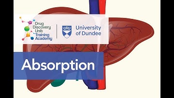 Pharmacokinetics - Absorption