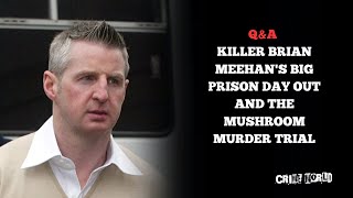 Q&A - Killer Brian Meehan's big prison day out and the mushroom murder trial
