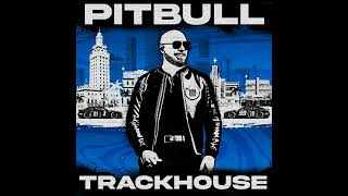 Pitbull - Bandolero (feat. Gipsy Kings) Resimi