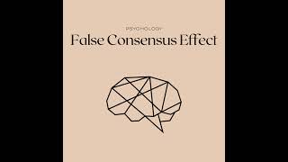 False Consensus Effect Net Worth