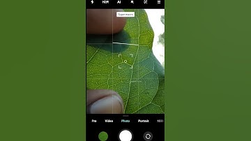 Extreme Macro Photography in Redmi note 10 pro max | i_mobileclicker