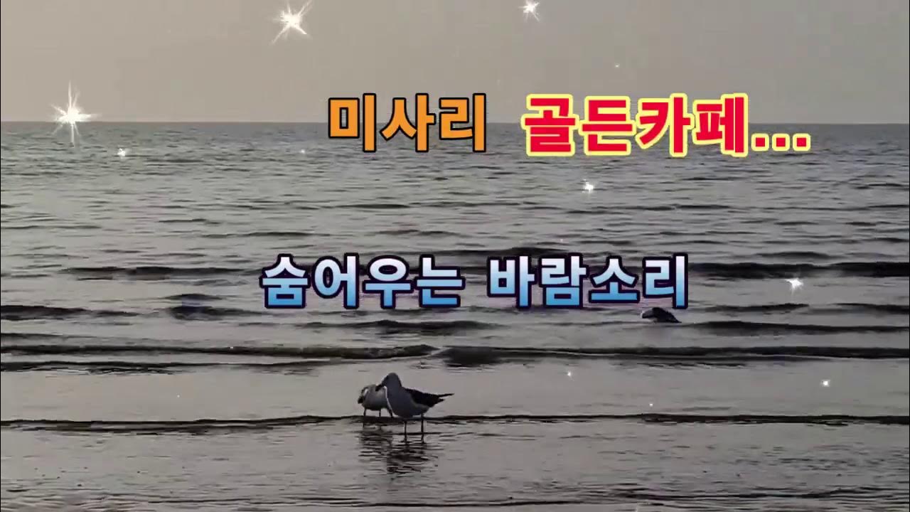 미사리 골든카페 미사리 골든카페