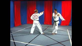 Yellow Belt One Step Sparring
