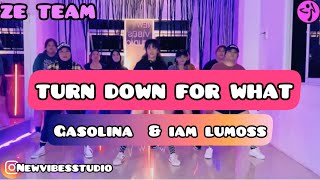 TURN DOWN FOR WHAT / GASOLINA / IAM LUMOSS REMIX / ZUMBA / DANCE WORKOUT / RM CHOREO Resimi