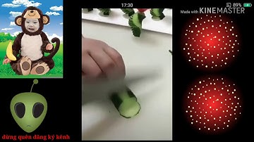 Cách tỉa dưa leo đơn giản đẹp mắt