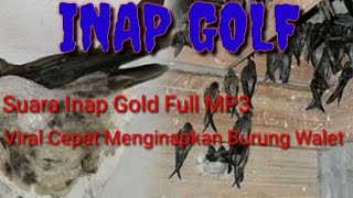 Suara Inap Gold. Viral !!! Full Original MP3