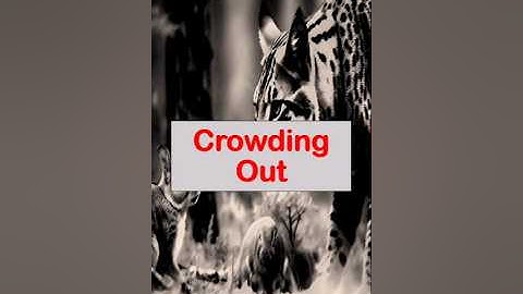 Crowding out | Economics