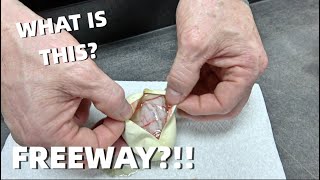Insane Freeway Clutch!! Ball Python Egg Hatching!