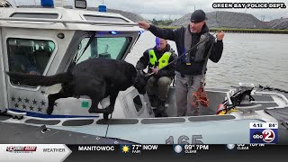 Green Bay Police Department training K9 unit on water