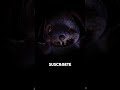 NUEVOS TEASERS DEL MODO ZOMBIES DE BLACK OPS 6