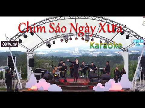 CHIM SÁO NGÀY