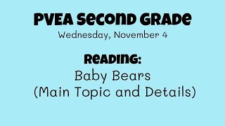 Reading (Second Grade): Baby Bears (Main Topic and Details)