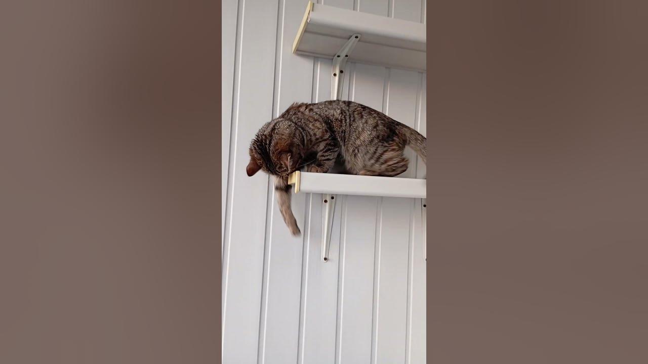 Reverso Traduction gratuite dictionnaire