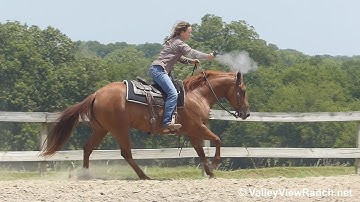 Catjumpovertherey - mounted shooting and carrying the flag! - ValleyViewRanch.net