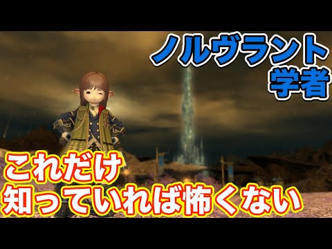 【FF14】ノルヴラントに学者(ヒーラー)で挑戦【これだけ知っていれば怖くないヒーラー編 2021年版】