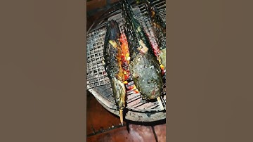 cá trê nướng lai rai cùng bạn hiền