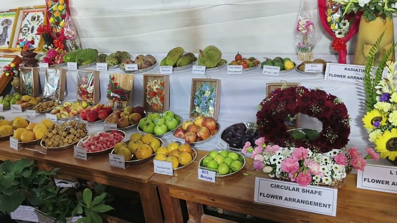 KARAIKAL CARNIVAL -2026 Agricultural show