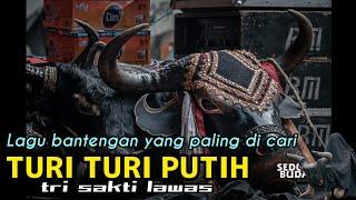 Lagu bantengan terpopuler paling di cari (Turi Turi putih, lawas)