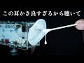 ASMR Lotion Cotton Swab Ear Cleaning – Feels Like It's Going Deep Into Your Ear (No Talking)