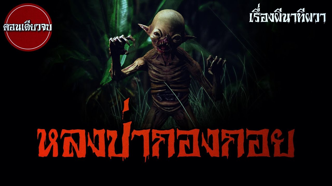 หลงป่ากองกอย ( จบในตอน) | ล้อมวง เล่าเรื่องผี Ep.917