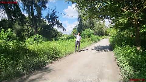 Bán Đất mặt tiền Biển đường ôtô 1000m2 có 200m2 Thổ Cư đối diện dự án VinGroup |Bán Đất Cần Giờ |223