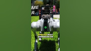 OpenMind Wants to Be the Android of Robots 🤖📱