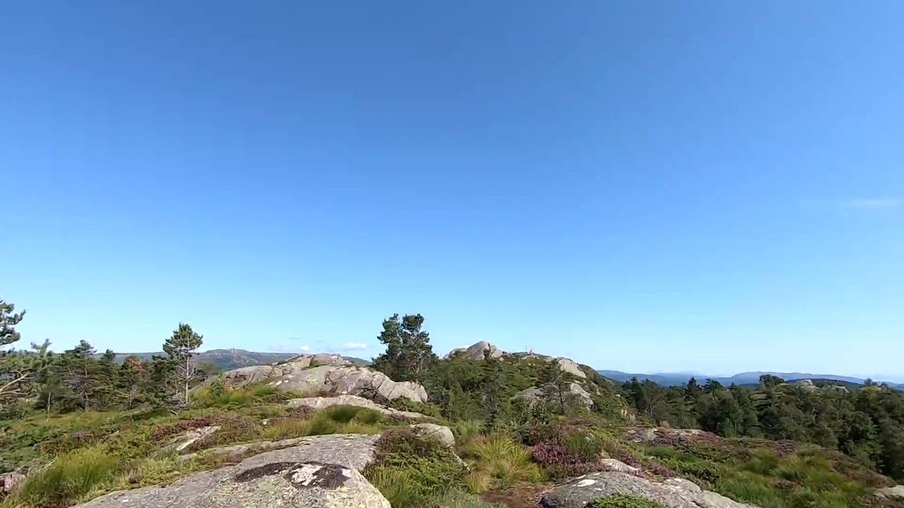 Nipedalen - Gravdalsfjellet 21.07.2021