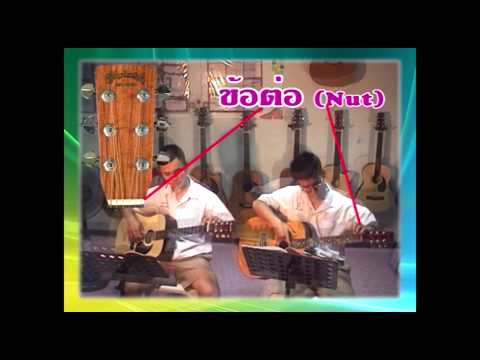 ส่วนประกอบของกีต้าร์ (Guitar)