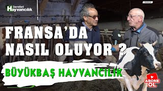 Download lagu Hayvancılık Rehberi Fransa 39 da Aile İşletmesini Ziyaret Ediyoruz 1 Bölüm Hayvancılık Rehberi Fransa 39 da Aile İşletmesini Ziyaret Ediyoruz 1 Bölüm